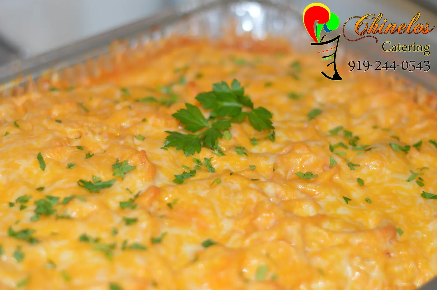 Pasta With 5 Cheeses